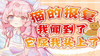 猫猫的报复心能有多强，这回真成臭粉毛了