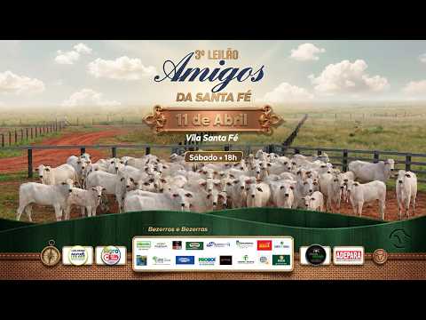 3º LEILÃO AMIGOS DA SANTA FÉ - VILA SANTA FÉ / PA