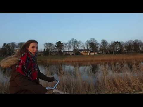 Favoriete Fietsroute vanaf de binnenstad naar Huis (Bossche Broek)