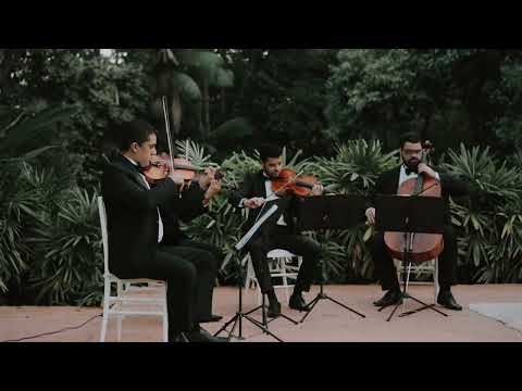 Nesta Noite o Amor Chegou - Rei Leão - Instrumental Quarteto de Cordas e Piano