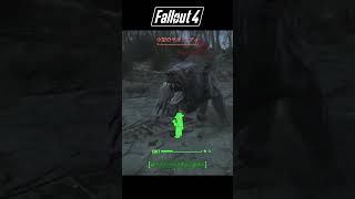 【Fallout4】経験値4000万?!