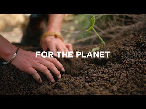 Superfoods with Purpose: For the Planet