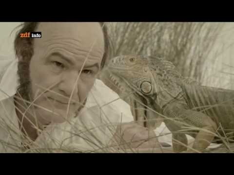 HD | Das Geheimnis der Gene - Teil 1: Woher wir kommen  | Doku 2016