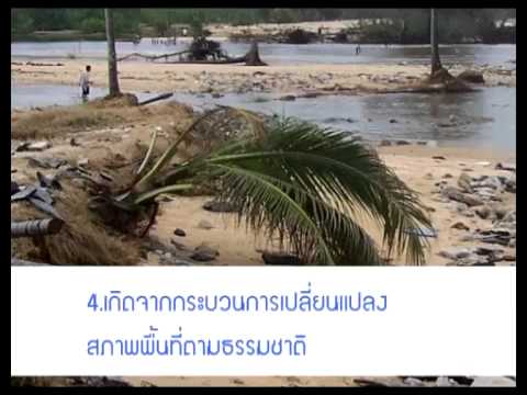 ที่คุณทาครีมสำหรับโรคสะเก็ดเงิน กลากดาวเรืองสมุนไพร