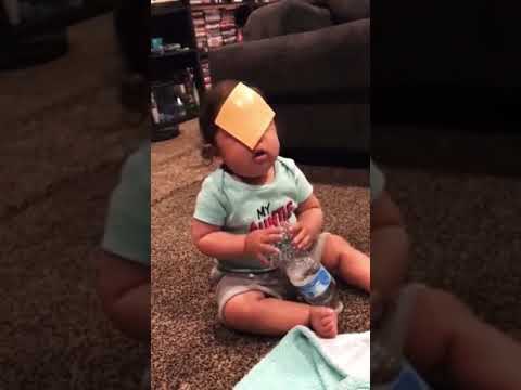 download lagu mp3 mp4 Kids And Cheese, download lagu Kids And Cheese gratis, unduh video klip Kids And Cheese