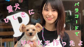 【体験】愛犬ひじきに可愛いリードを作りました！