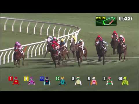 25/5/2022 (699) Excellent Peers - J Moreira