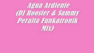 Agua Ardiente (DJ Rooster & Sammy Peralta Funkatronik Mix)