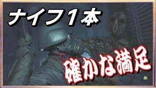 ◍【バイオハザードRE:2】ハンク 縛りプレイ ナイフ１本確かな満足 【The 4th Survivor】