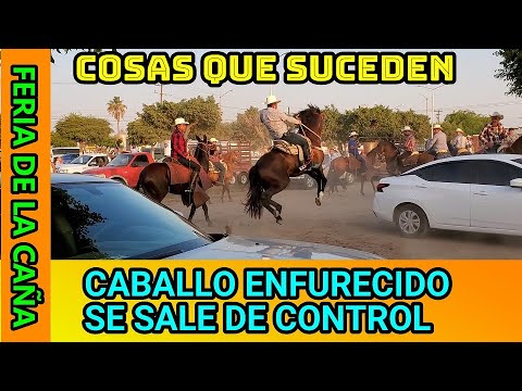 OOOORALEEE!!!. CABALLO BRONCO SE SALE DE CONTROL. NAVOLATO, FERIA DE LA CAÑA. 🐴🐴🐴