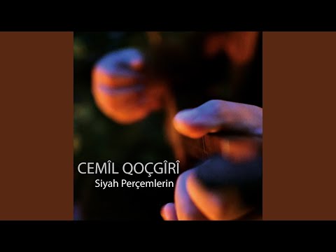 Siyah Perçemlerin