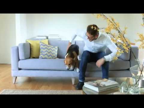 download lagu mp3 mp4 The Lounge Company, download lagu The Lounge Company gratis, unduh video klip The Lounge Company