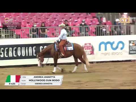 Futurity 2020 - ANDREA IANNETTA & HOLLYWOOD GUN BODO score 213