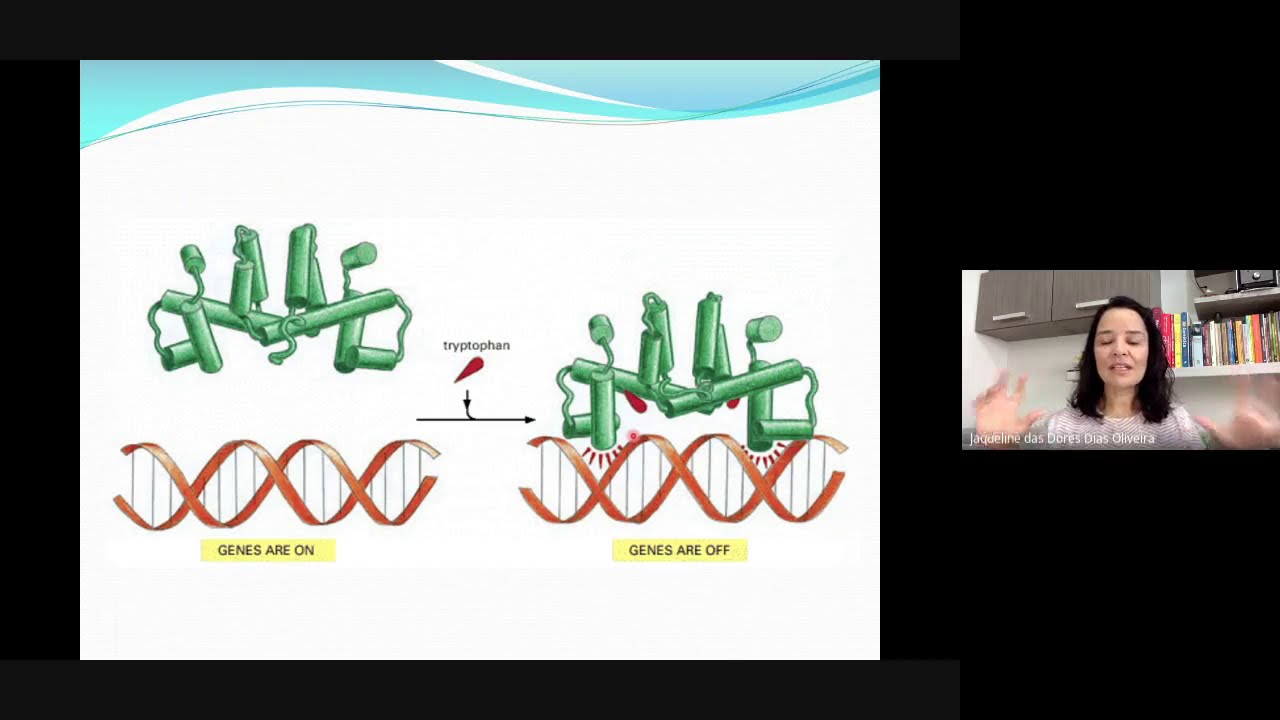 Videoaula de Regulação da Expressão Gênica em Procariontes e Eucariontes