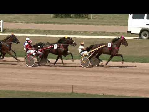 2021.08.14. 01. futam - BOGI HENDIKEP