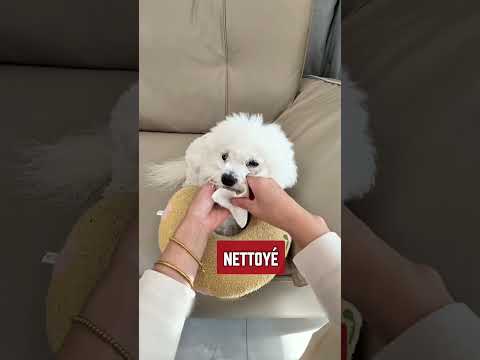 🥹 Maman m’a offert un mini-lit trop mignon ! 🩷🐶