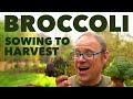 Growing Broccoli from Sowing to Harvest 🥦
