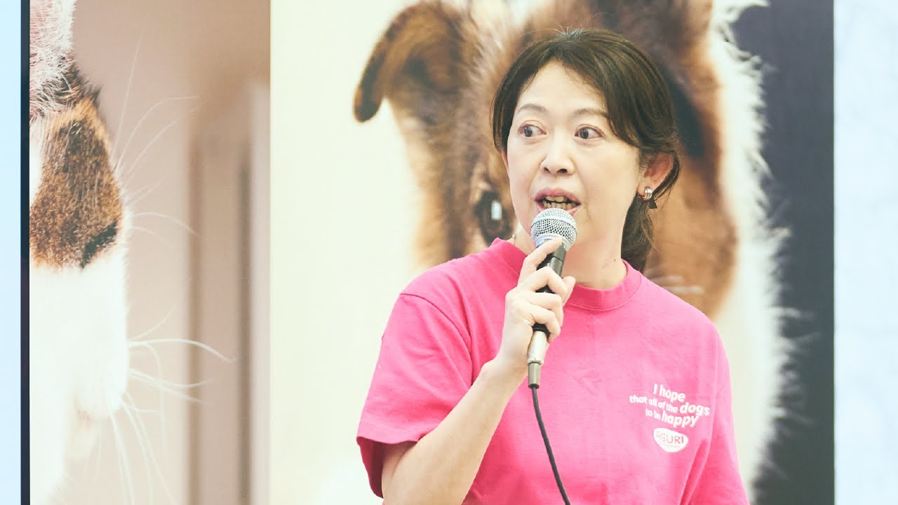 保護犬猫について学ぼう：雑種犬って難しい？！その魅力とお迎えのポイント【パナソニック公式】