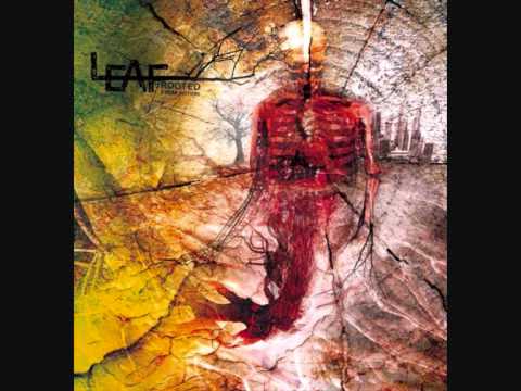 Leaf - The Complications Of Breathing Underwater