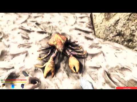 Lost Shipwreck Gameplay walkthrough part2 (PC game).