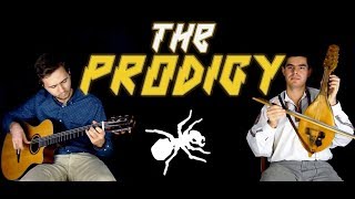 The Prodigy - Acoustic Cover - (Voodoo People, No Good, Mindfields)  Guitar and Gadulka