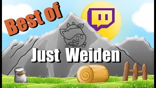 Let´s Sing - Weiden - Weil ich ein Mädchen bin