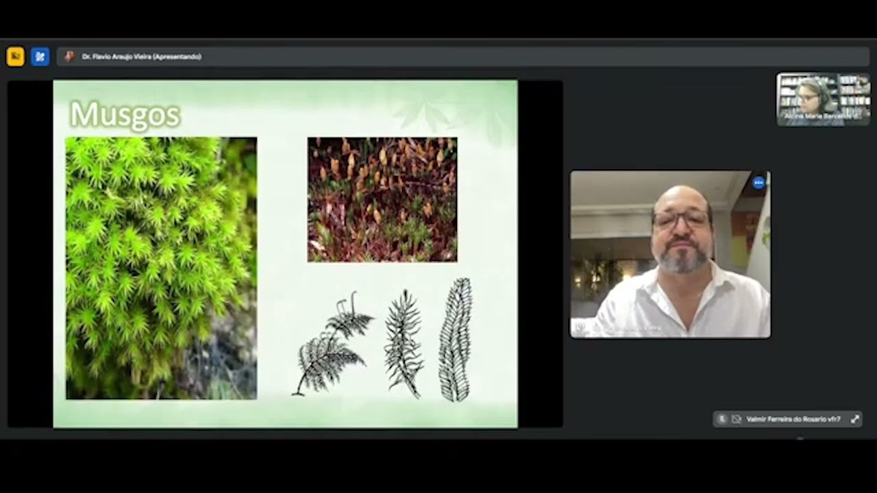 WEBINÁRIO -  MORFOLOGIA E TAXONOMIA DE CRIPTÓGAMAS  - 29 DE AGOSTO DE  2024