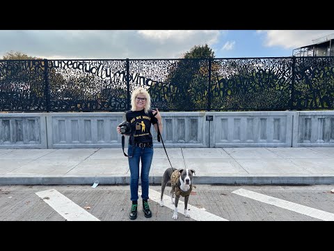 NYC LIVE Exploring Wakefield in North Bronx & Mount Vernon w/ Subway Ride on Elevated Tracks Oct 26