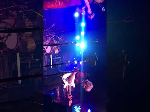 Steely Damned 2…:Do it  Again