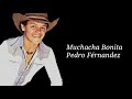 MUCHACHA BONITA [LETRA] - PEDRO FERNÁNDEZ