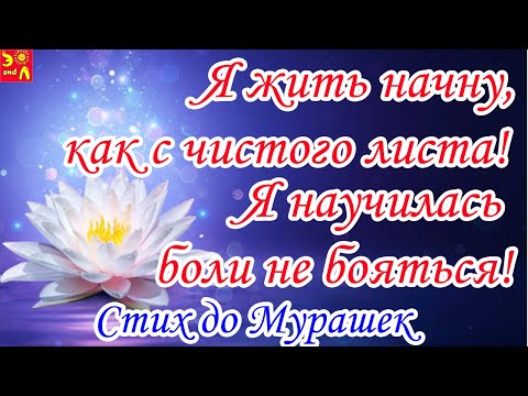 Доброе Утро! Очень Трогательный Стих! Я жить начну как с чистого листа.. Я научилась боли не бояться