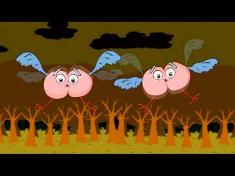 GENERAŁ ITALIA - ZŁOTO WAMPIRÓW 9