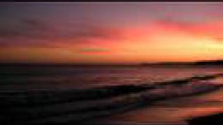 Wooden Heart - The Duke Spirit