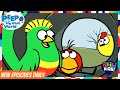 Peep And The Big Wide World A Visitor From The Jungle Akili Kids
