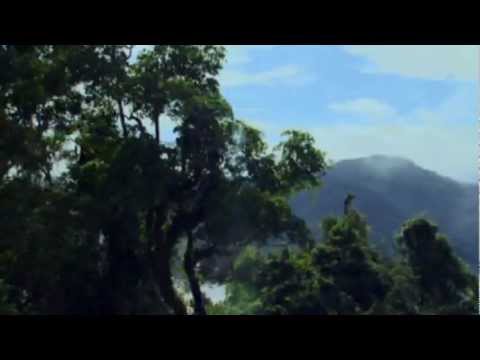 Between the CALM & the STORM - Ludovico Einaudi: Divenire