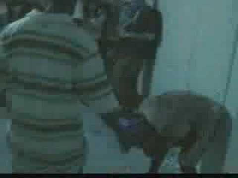 Nana and Mike V fight- the finale!