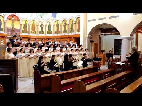 download lagu mp3 mp4 Cantus Terra, download lagu Cantus Terra gratis, unduh video klip Cantus Terra