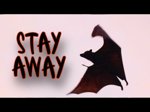 Stay Away (Jt's Song of the Week 9-27-23)