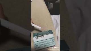 タバコこじきにiQOS直で吸わせたら………