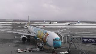 preview picture of video 'The Big Airport of Hokkaido New CHITOSE Airport (CTS/RJCC)'