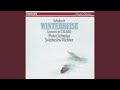 Schubert: Winterreise, D.911 - 12. Einsamkeit