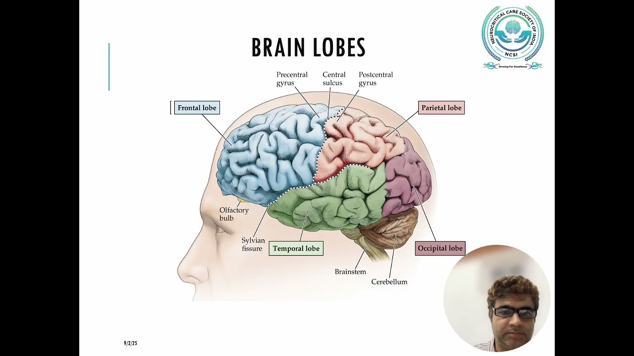 CT Brain interpretation in Neurocritical Care