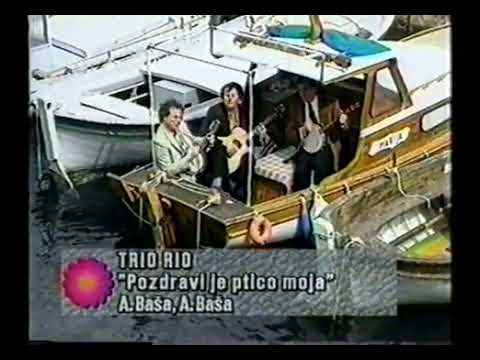 Trio Rio Pozdravi Je Ptico Mala Spot