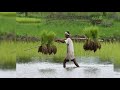 Vivasayi Farmers Song WhatsApp Status