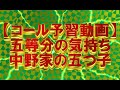 【コール予習動画】五等分の気持ち/中野家の五つ子（花澤香菜・竹達彩奈・伊藤美来・佐倉綾音・水瀬いのり