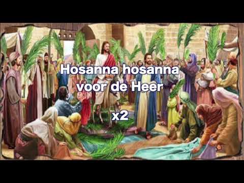 Opwekking kids 053 Palmtakken