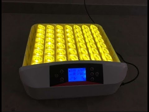 Automatic breeding machine 56 egg incubator with egg light t...
