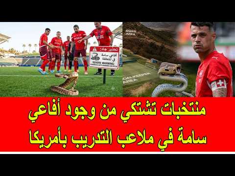 منتخبات تشتكي من وجود أفاعي سامة في ملاعب التدريب في أمريكا