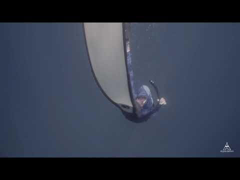 Freediving with Giant Turtles