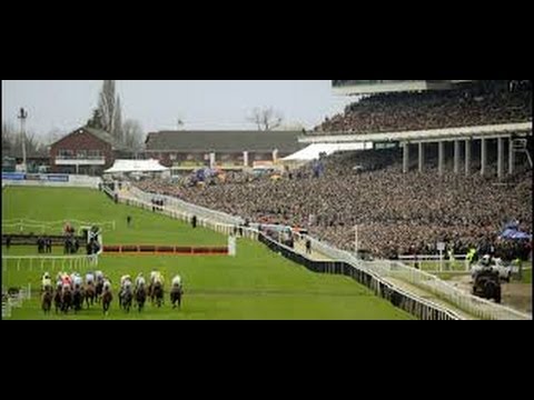 Countdown To Cheltenham 2015 JLT Novice Chase Preview